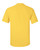 daisy yellow-2