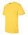 daisy yellow-3