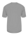 SILVER-2