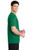 Kelly Green-4