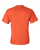 Orange-2