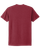 Cardinal-2