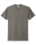 WARM GREY-1