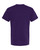 Purple-2