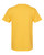 Yellow-1
