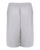 SILVER-2