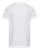 ASH-2
