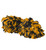 BLACK/GOLD-1