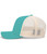 JAGUAR TEAL/BEIGE-3