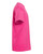 Fuchsia-4
