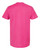 Fuchsia-2