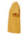 GINGER-3