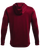 Cardinal-2