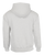 ASH-2