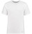 White-1