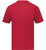 SCARLET-2