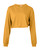 MUSTARD-1