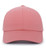 CORAL-1