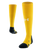 Steeltown Gold-1