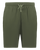 OLIVE-1