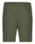 OLIVE-2