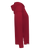 SCARLET-4