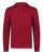 SCARLET-1