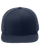 TRUE NAVY-1