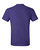 Purple-2