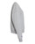 LIGHT STEEL-4