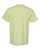 CELADON-2
