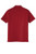 GARNET-2