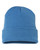 CAROLINA BLUE-1