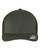 OLIVE-1