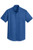 TRUE BLUE-1