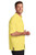 Yellow-4