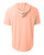 SALMON-2