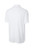 White-2