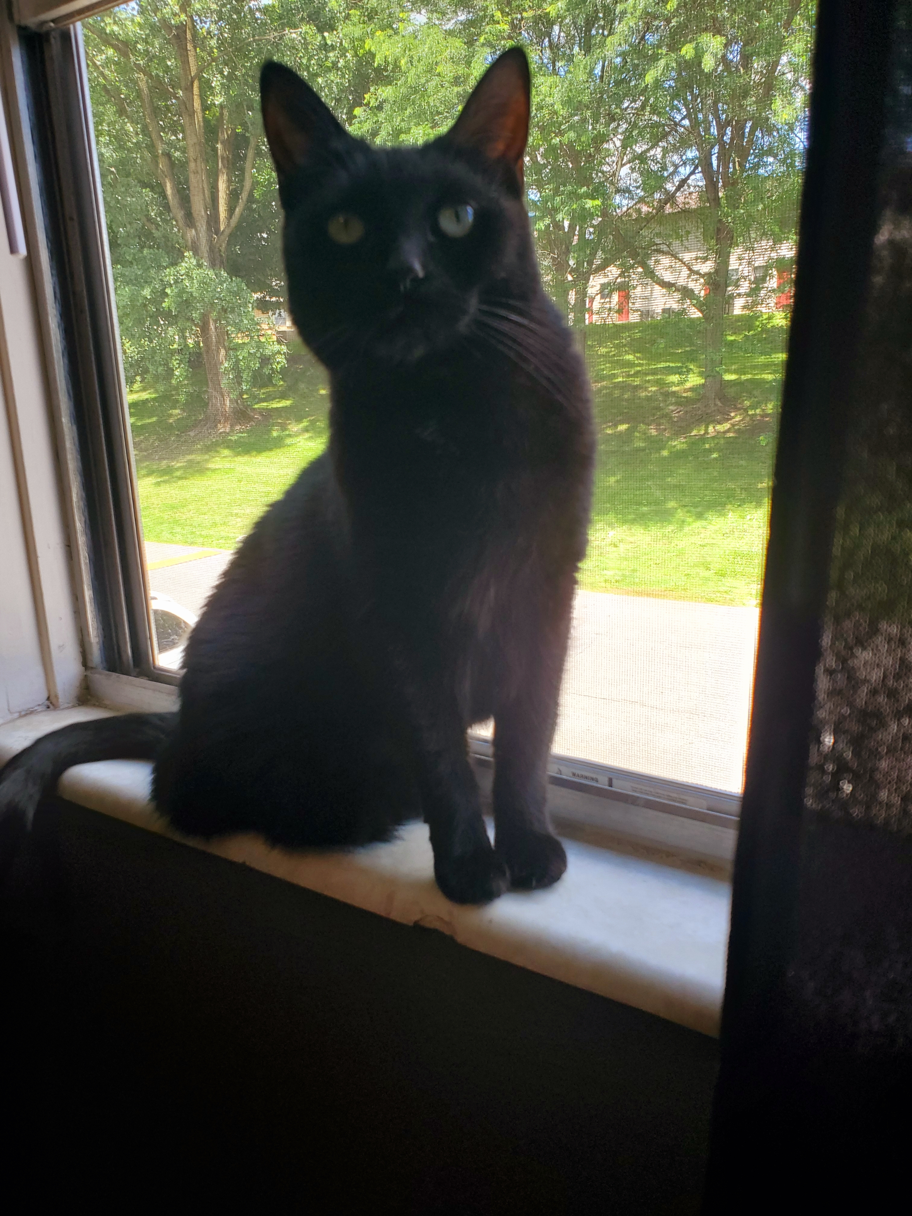 Zak Toth Submitted Team Store-5