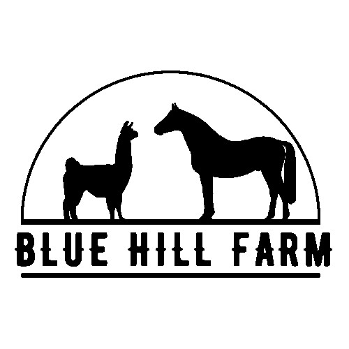 Blue Hill Farm Team Shop