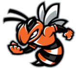 Leesburg High School Cheerleading