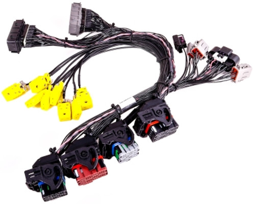 GM Corvette C6 (E38 ECM) MaxxECU Plugin - Harness GM Corvette C6 (E38 ECM) MaxxECU Plugin - Harness