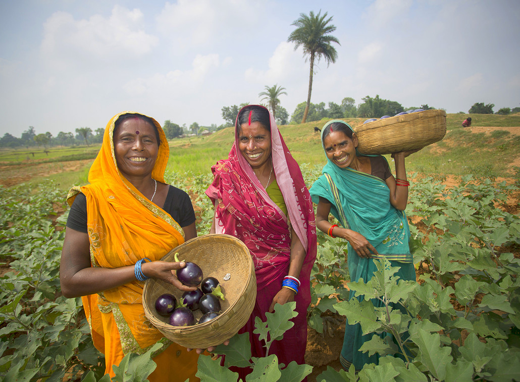 India's Influence on Caribbean Cuisine