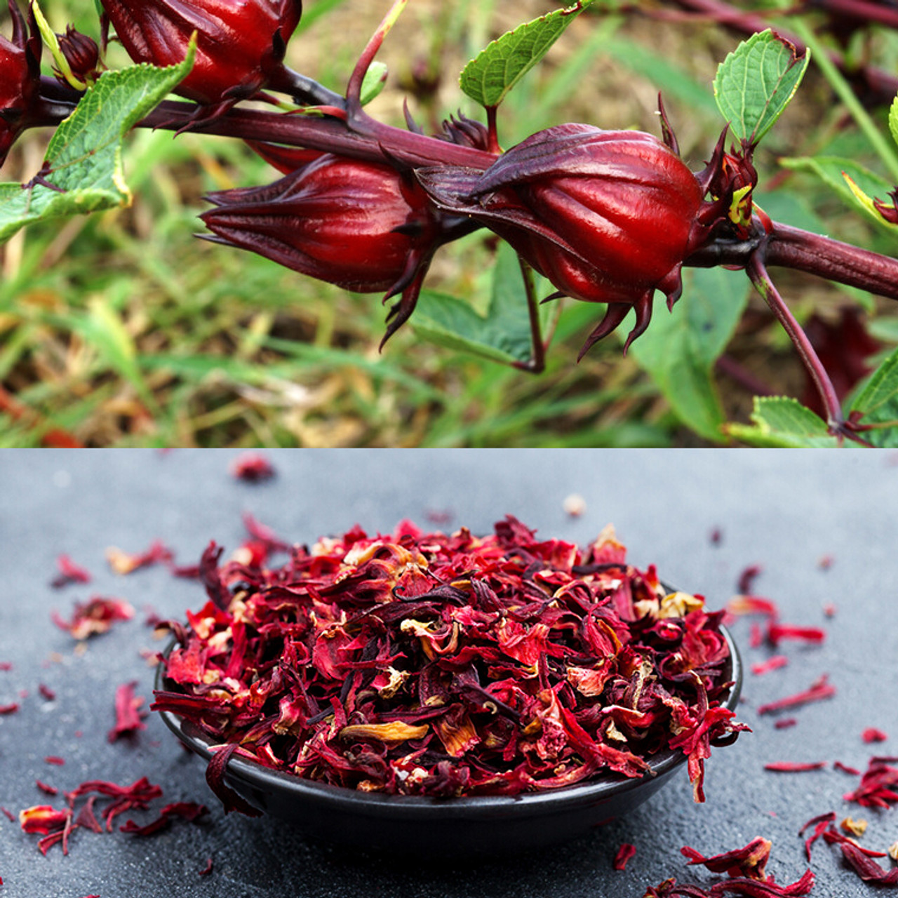 Hibiscus Jamaica  Dried Hibiscus Flowers - The Spice House