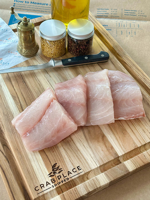 Red Snapper Fish Fillet