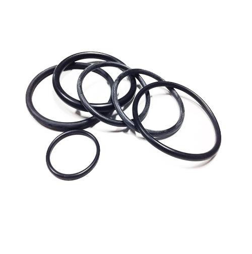 O-RING KIT - 954-0842