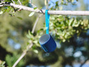 Sony SRS-XB12, speaker compatto, portatile, resistente all'acqua con EXTRA BASS, blu