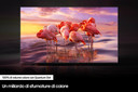 Samsung Series 6 TV QLED 4K 75” QE75Q60 Smart TV Wi-Fi Black, Quantum HDR, Ultra sottile, Colori Ultra luminosi, Suono dinamico