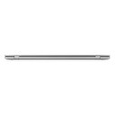 Samsung Chromebook 4+ Intel® Celeron® N4000 39,6 cm (15.6") Full HD 4 GB LPDDR4-SDRAM 64 GB eMMC Wi-Fi 5 (802.11ac) ChromeOS Argento