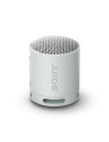 Sony SRS-XB100 - Speaker Wireless Bluetooth, portatile, leggero, compatto, da esterno, da viaggio, resistente IP67 impermeabile e antipolvere, batteria da 16 ore, cinturino versatile, chiamate in vivavoce - Grigio